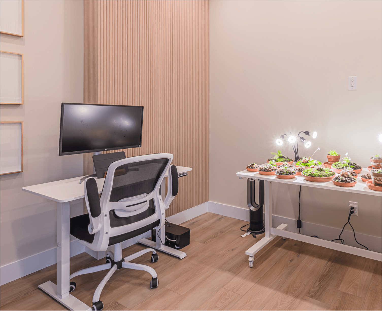 Collaborative workspace setup